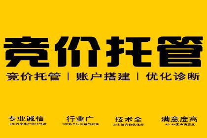 某品牌SEM广告投放的全程记录与效果分析